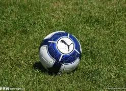 狼队重磅官,爱德华兹即,将走马上任,万博全站,万博体育全站APP,万博manbetx手机版登录入口,万博ManbetxAPP