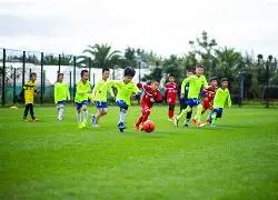 险象环生,小麦与孔蒂,飞机惊现误,万博全站,万博体育全站APP,万博manbetx手机版登录入口,万博ManbetxAPP