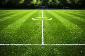 熊猫杯风云,汪士钦遗憾,落选,万博全站,万博体育全站APP,万博manbetx手机版登录入口,万博ManbetxAPP