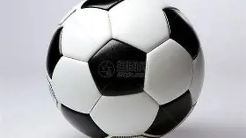 万博体育 资讯 100049 nrb