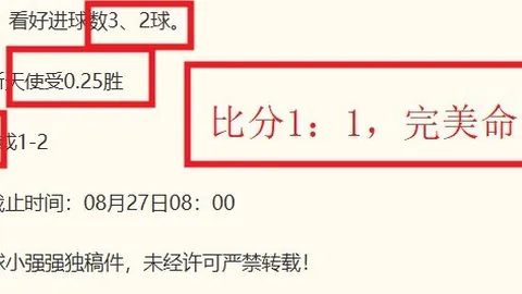 2026最新解读：成都蓉城主帅徐正源谈现状，惊喜连连